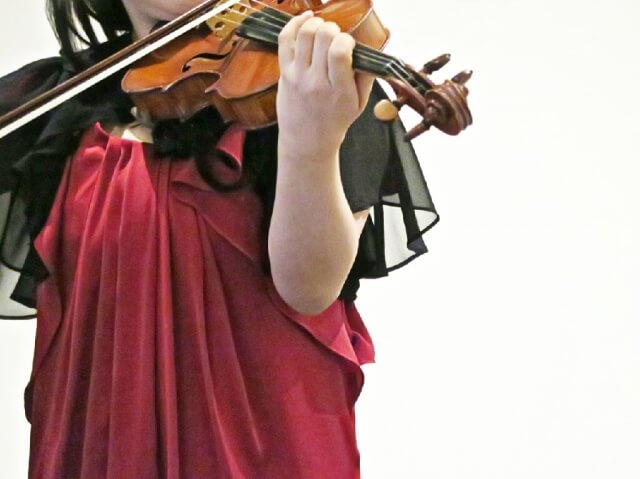 バイオリン 弓の値段 ～音の違いと弓の選び方～